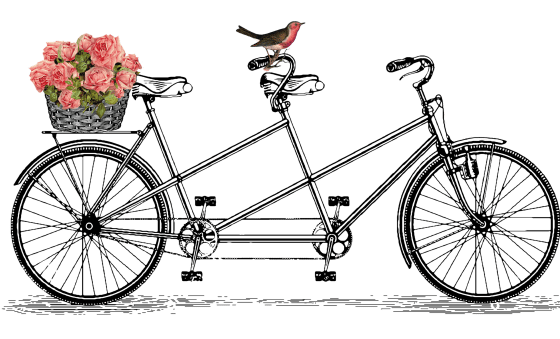 cropped-cropped-bicycle2-e148751914863941.png