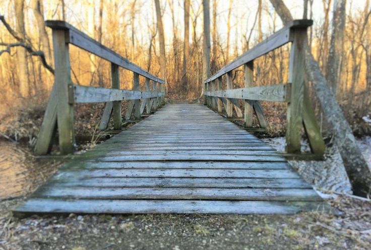 IMG_0629 - Copy - Copy