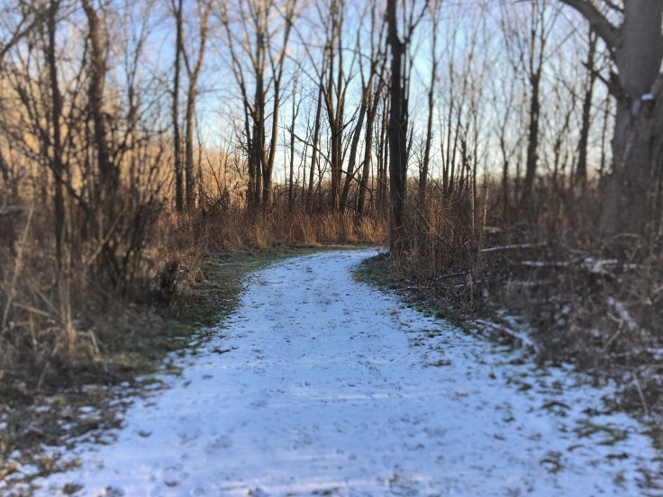 IMG_0636 - Copy - Copy