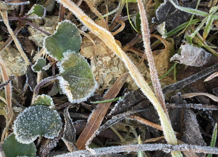 IMG_0638 - Copy - Copy