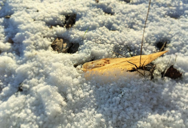 IMG_0646 - Copy - Copy