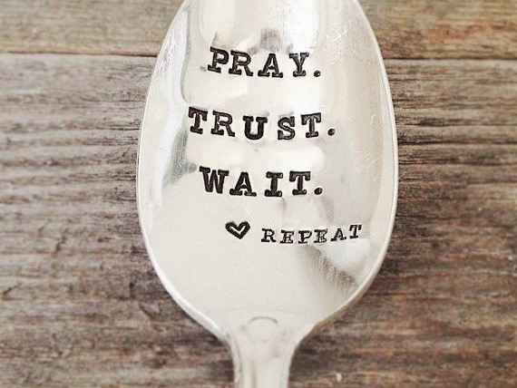 3d0b9bc7d06bc6d17f0cf802c493e05b